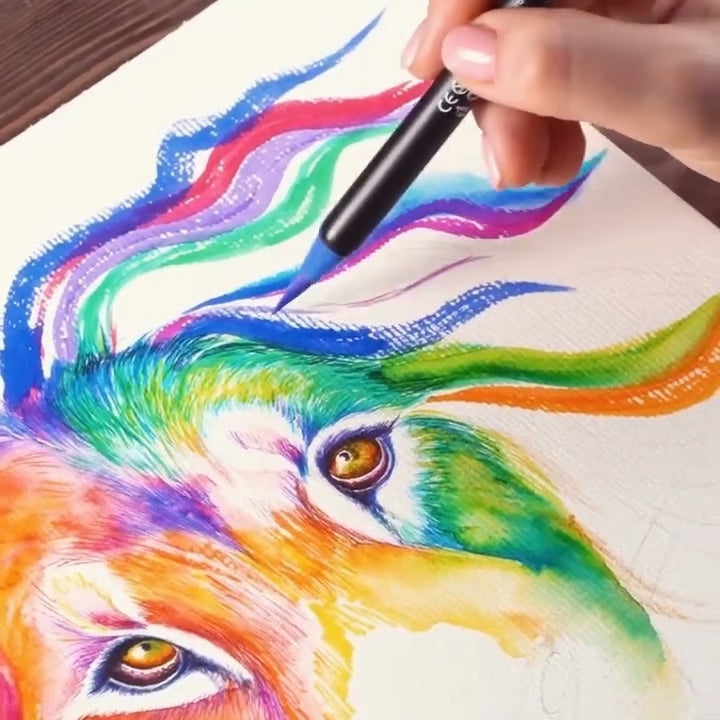 Watercolor Nylon Brush Pen Sets