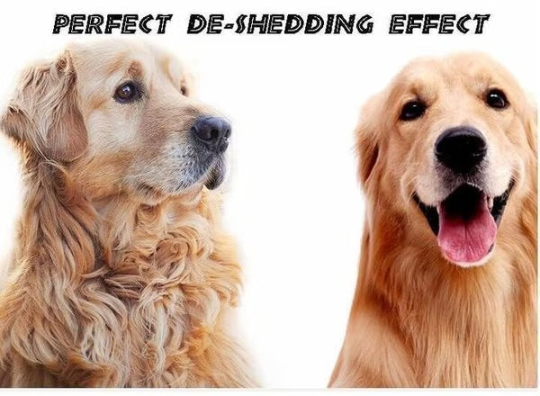 🔥Pet Safe Dematting Comb