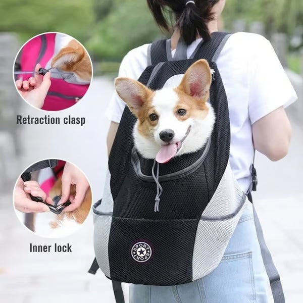 🔥2024 Summer Dog Backpack