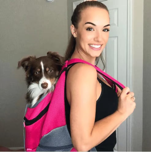 🔥2024 Summer Dog Backpack