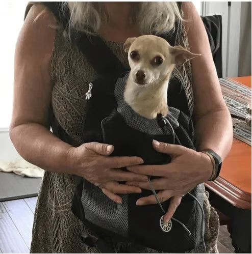 🔥2024 Summer Dog Backpack